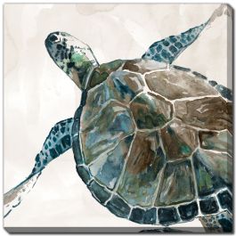 Neutral Sea Turtle II