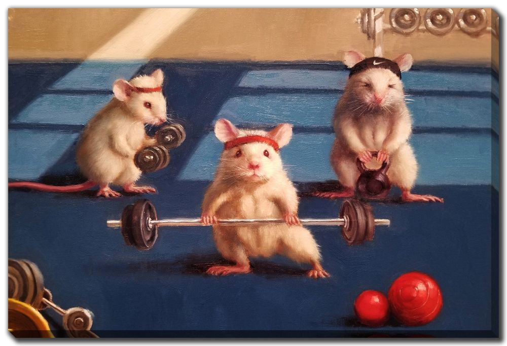 The gym rats : r/TheSquadOnPoint