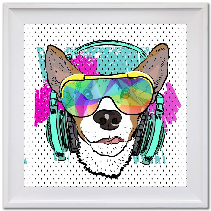 Cool Corgi