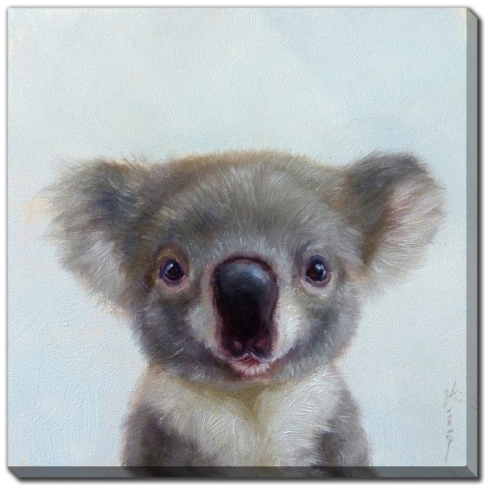 Lil Koala Lucia Heffernan