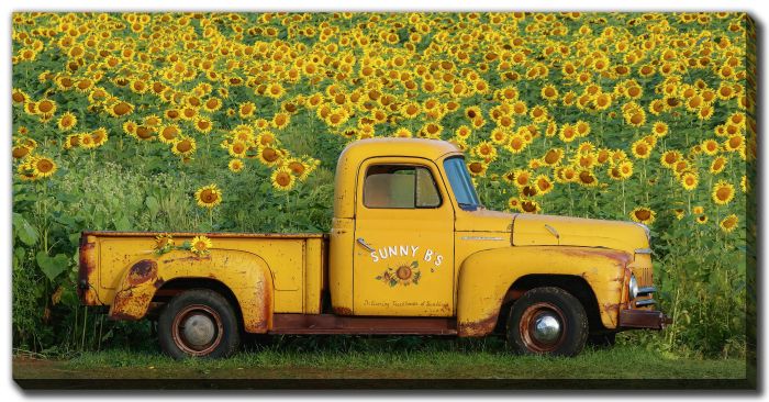 Yellow Vintage Sunflower Truck