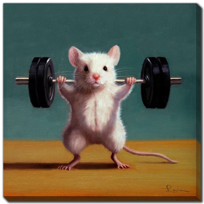 Gym Rat Back Squat
