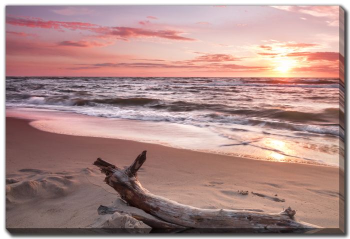 Sunset And Driftwood