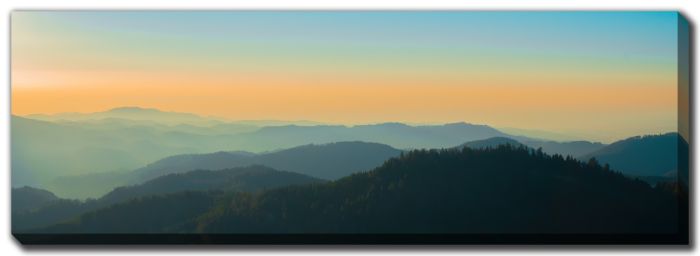 Sunset At The Black Forest