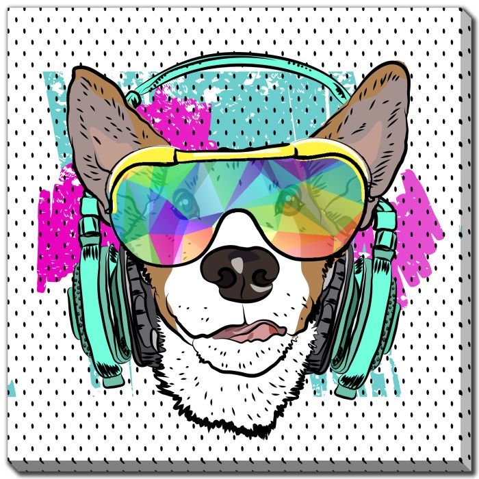 Cool Corgi