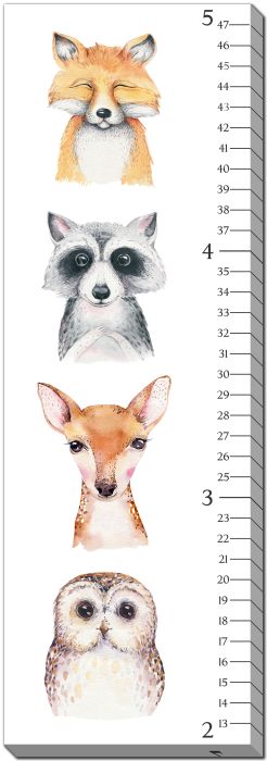 Forest Animals Growth Chart