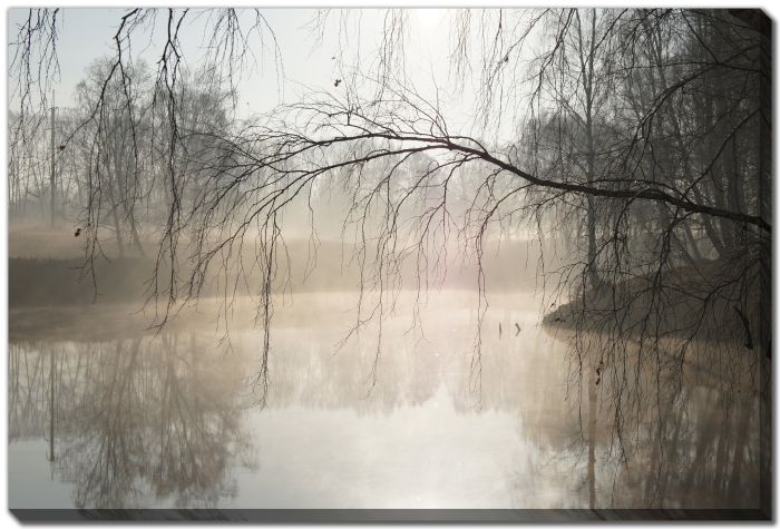 Misty Morning by the River