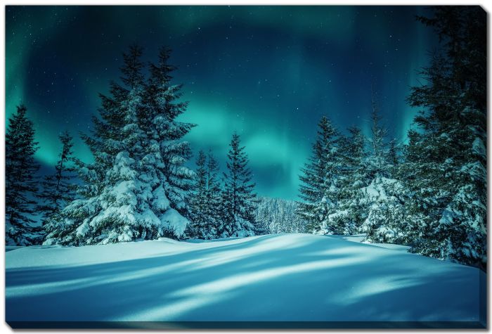 Aurora Borealis Over Frosty Forest