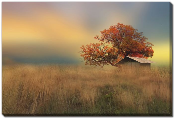 Lone Tree and Cabin in Autumn