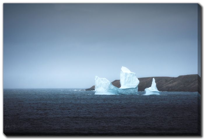 Iceberg Gaps Harbour