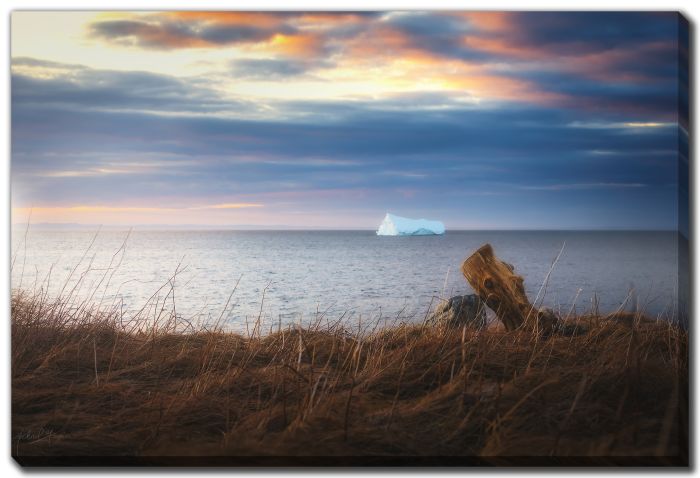 Leaning Log Supporting Rock Iceberg