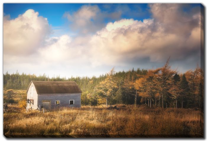 Morning Glow Grass Barn 3