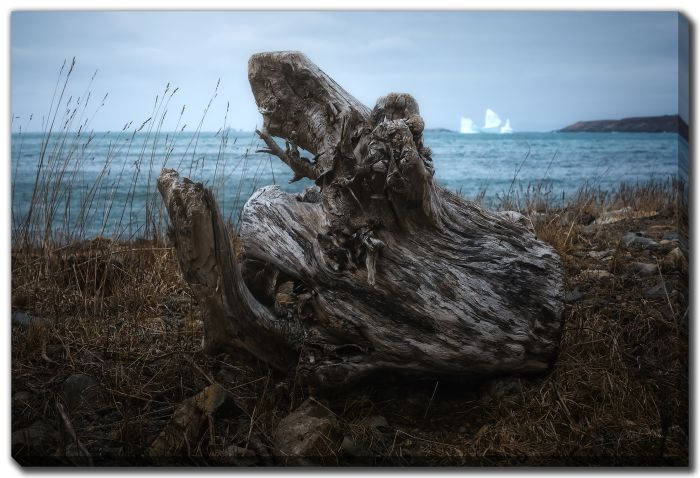 Stumpy Driftwood Iceberg Island