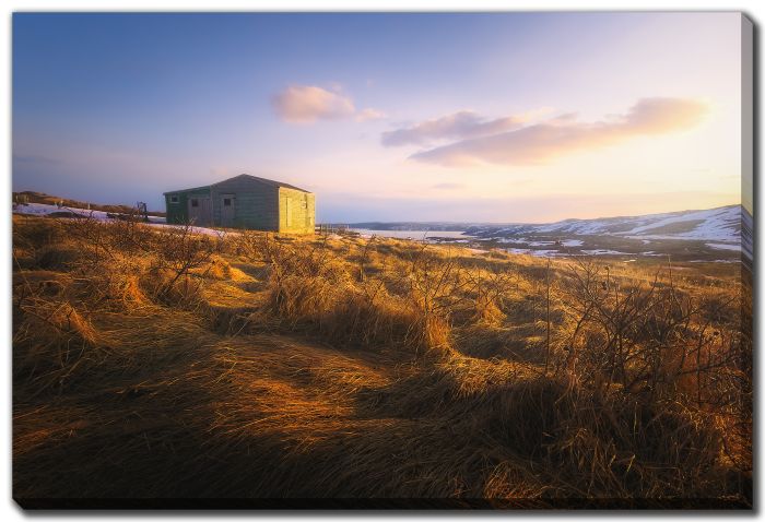 Sun Spattered Field Green Shed