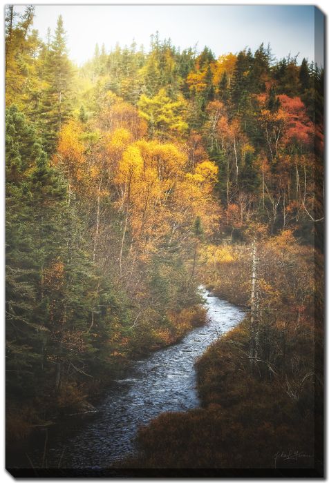 Flowing River Fall North