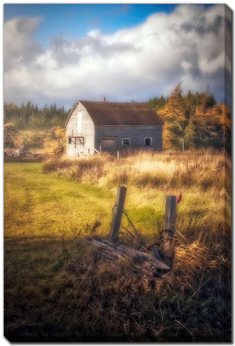 Morning Glow Grass Barn 2