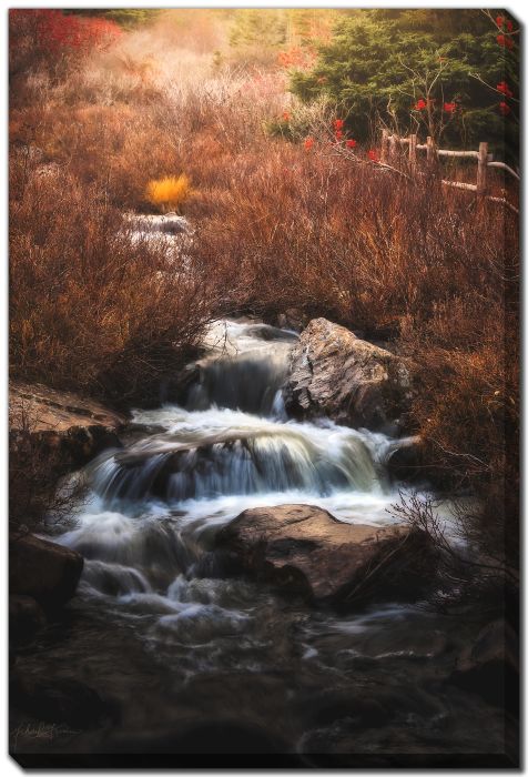 October Brook Red Berry River