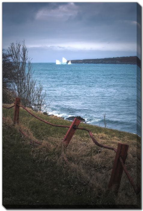Thick Wire Iron Post Iceberg