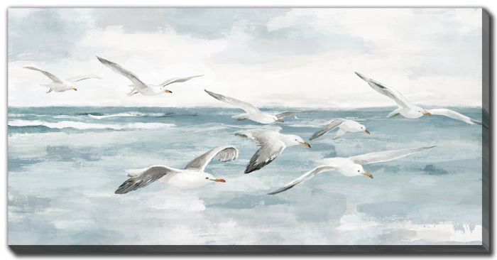 Gulls In Flight