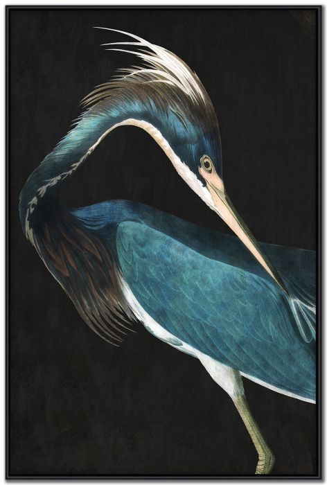 Majestic Blue Heron I