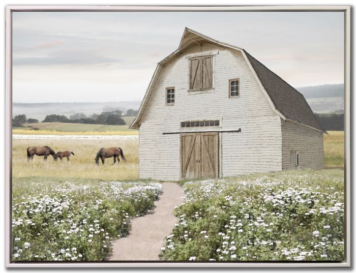 Flower Field Pathway