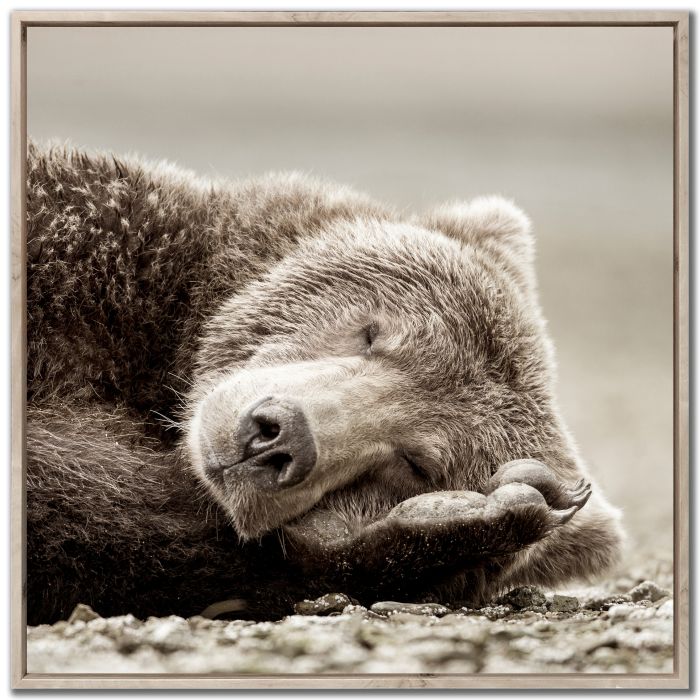 Sleeping Bear