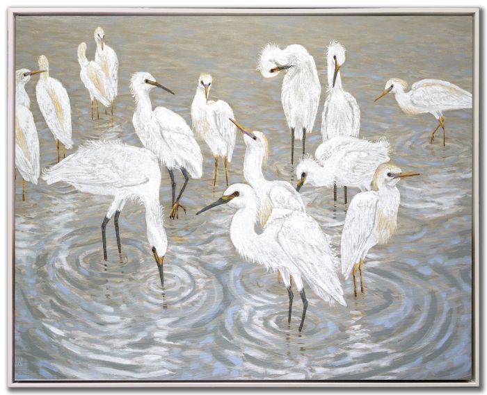 Herons and Egrets